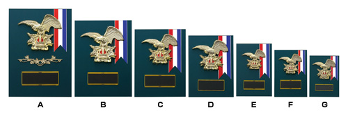 表彰楯・表彰盾 PL6237