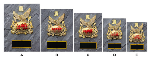 表彰楯・表彰盾 PL6240